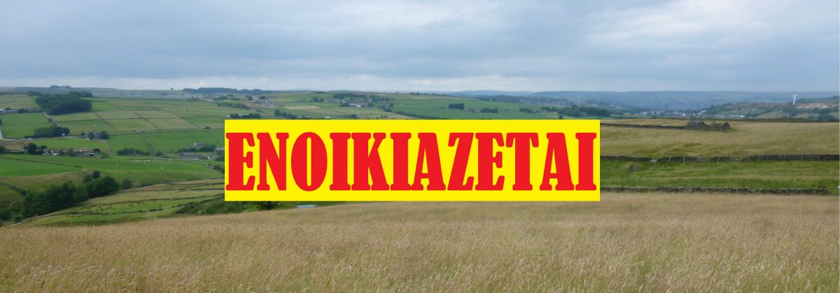 Εκμίσθωση αγροτεμαχίου