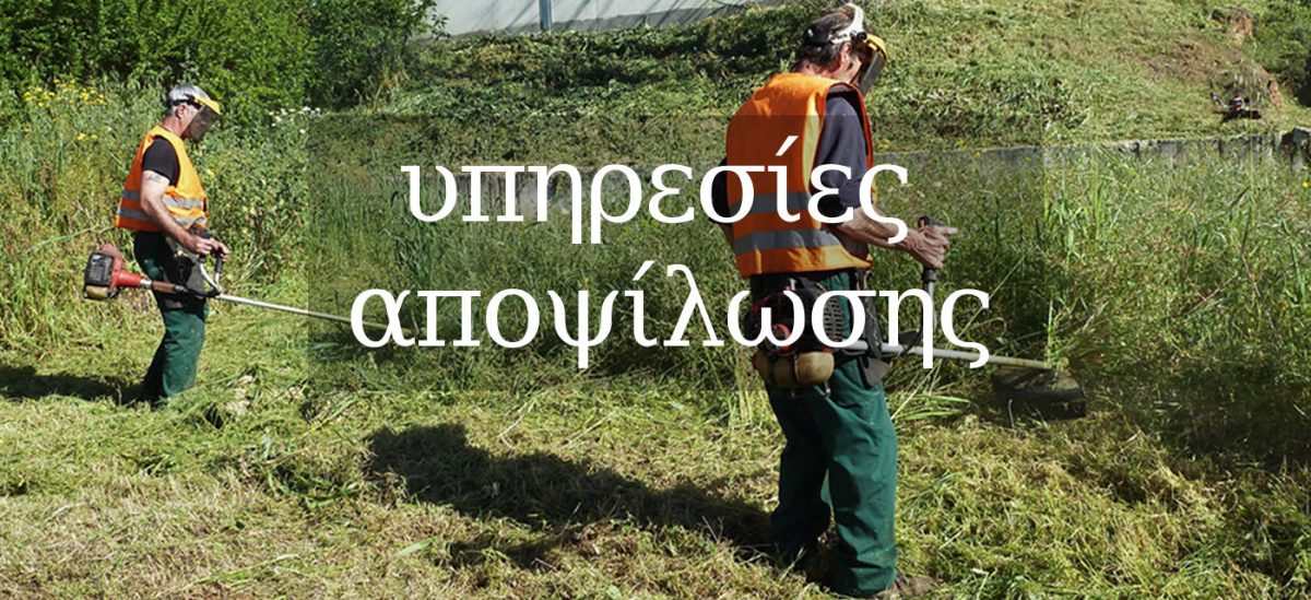 αποψίλωση