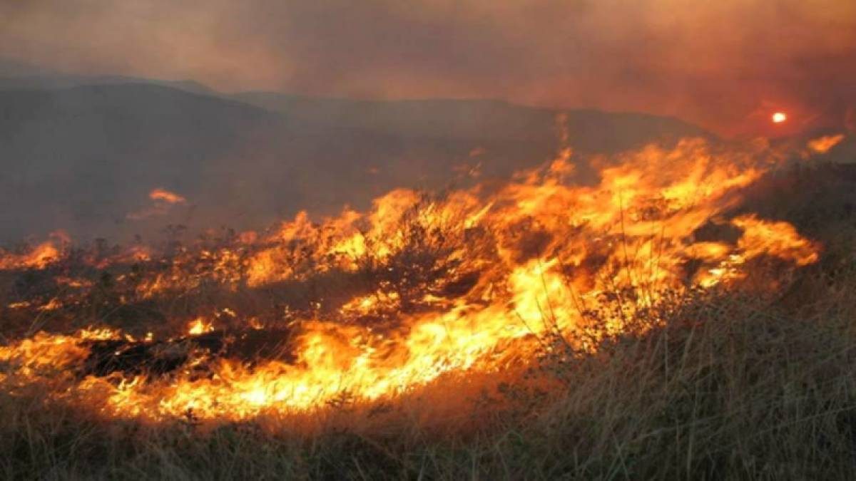 Πυρκαγιές στον Μαραθώνα, Νέα Μάκρη, Βαρνάβα και Γραμματικό