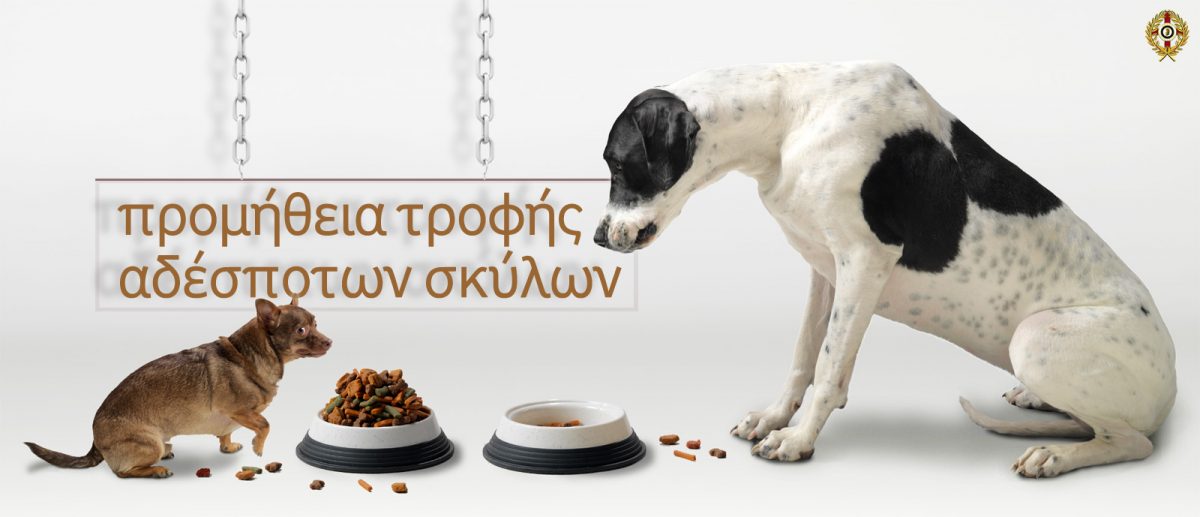 τροφή αδέσποτων σκύλων
