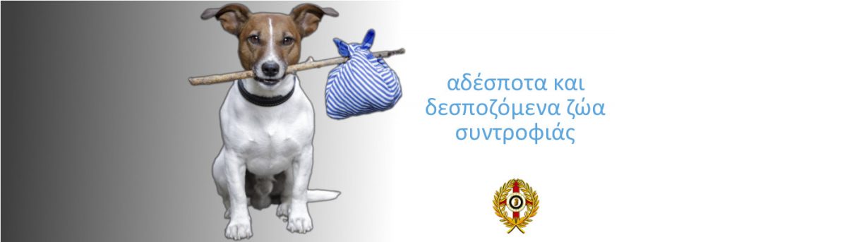 Αδέσποτα ζώα
