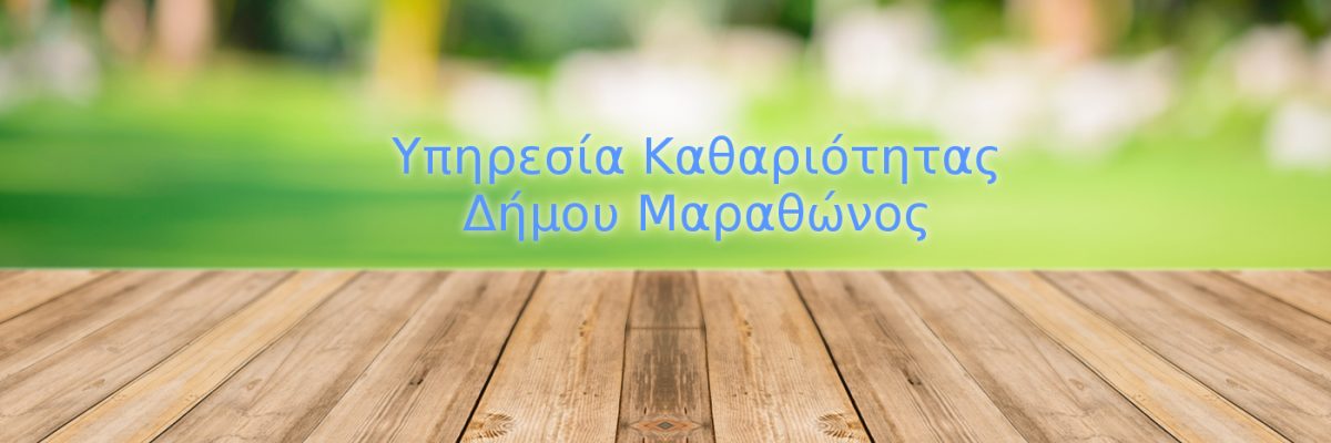 Υπηρεσία Καθαριότητας